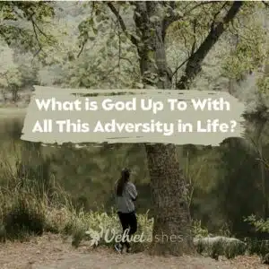 What Is God Up To With All This Adversity in Life?
