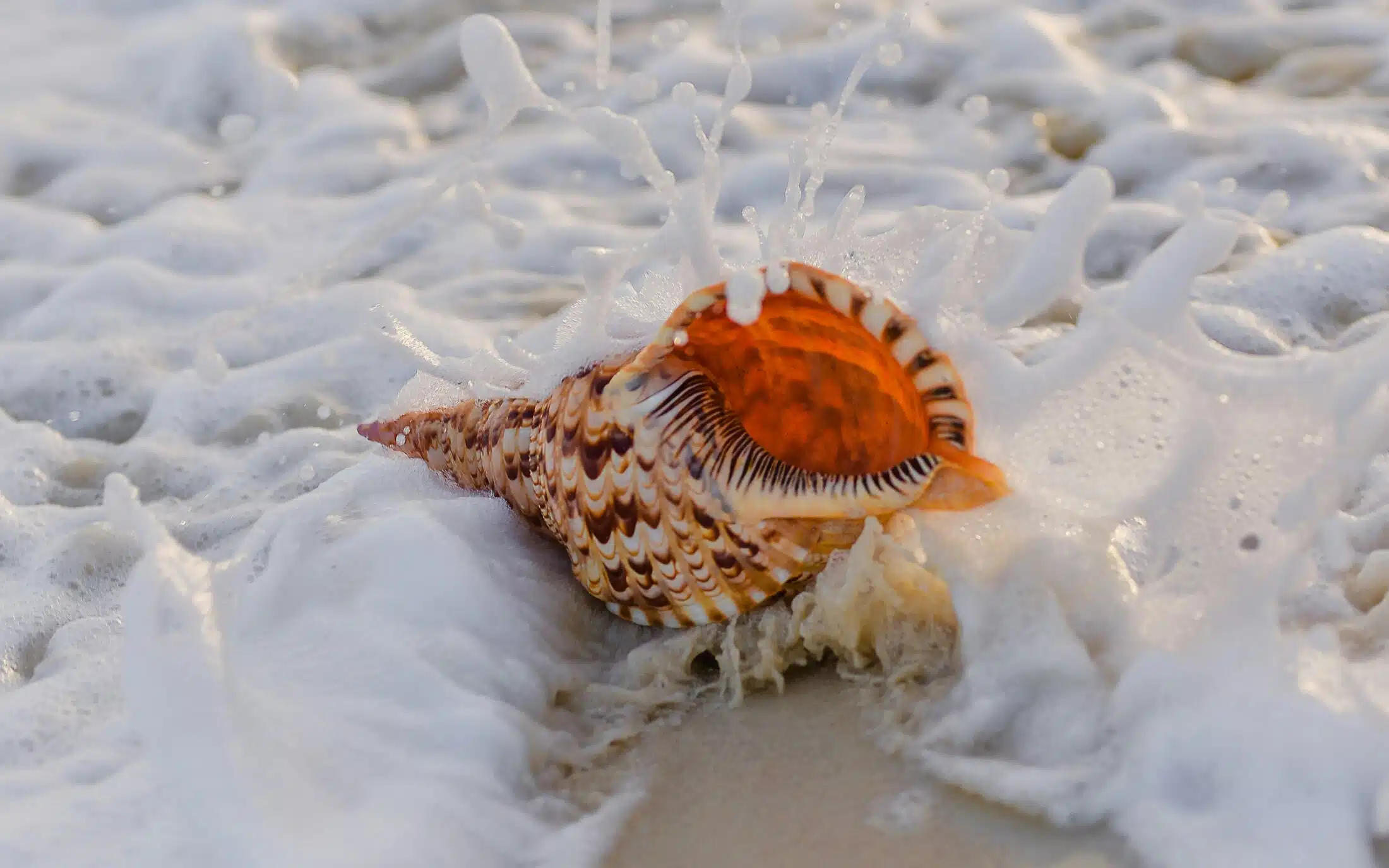 2026 Retreat {listen}